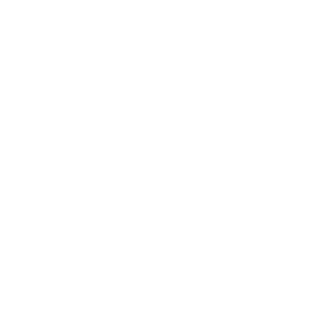  Weed Control Fertilization Litter pick-up Spring Cleanup Fall Cleanup Snow and Ice Management Tree and Shrub Trimming Sod Laying
